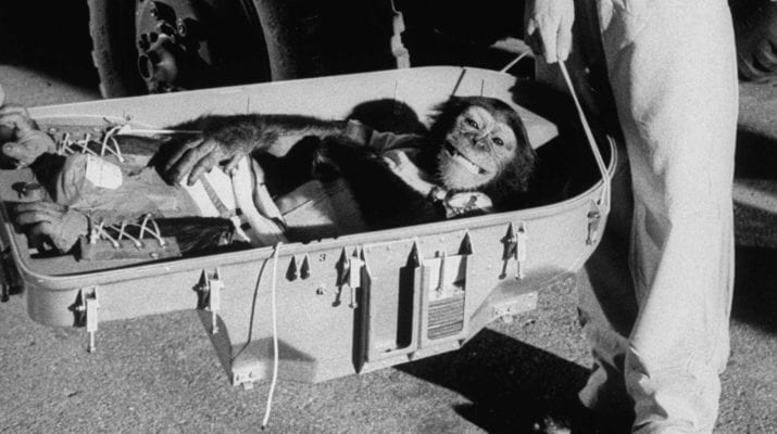 The Tragic Tale of Ham The Chimp • Morbidology