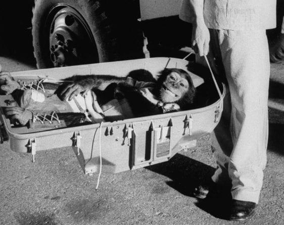 The Tragic Tale of Ham The Chimp