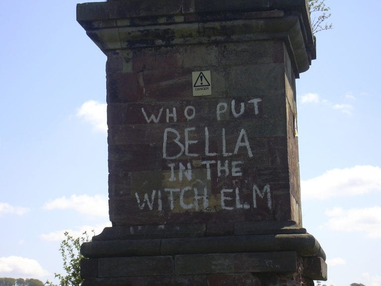 Who Put Bella in the Wych Elm?